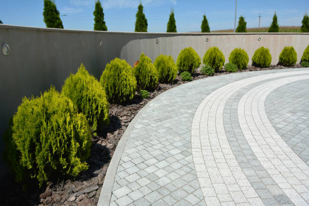 Reasons to Select Us for Your Driveway Paving Requirements in Fort Clark Springs, TX